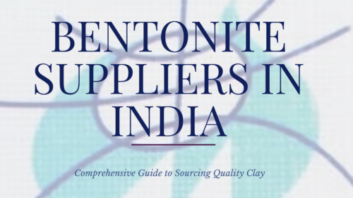 Top 10 Bentonite Suppliers in 2025