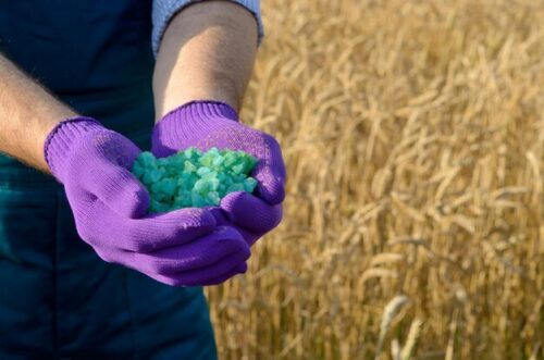 Bentonite Sulphur in Agriculture